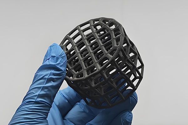 Flexible Nylon 11 3D printed component